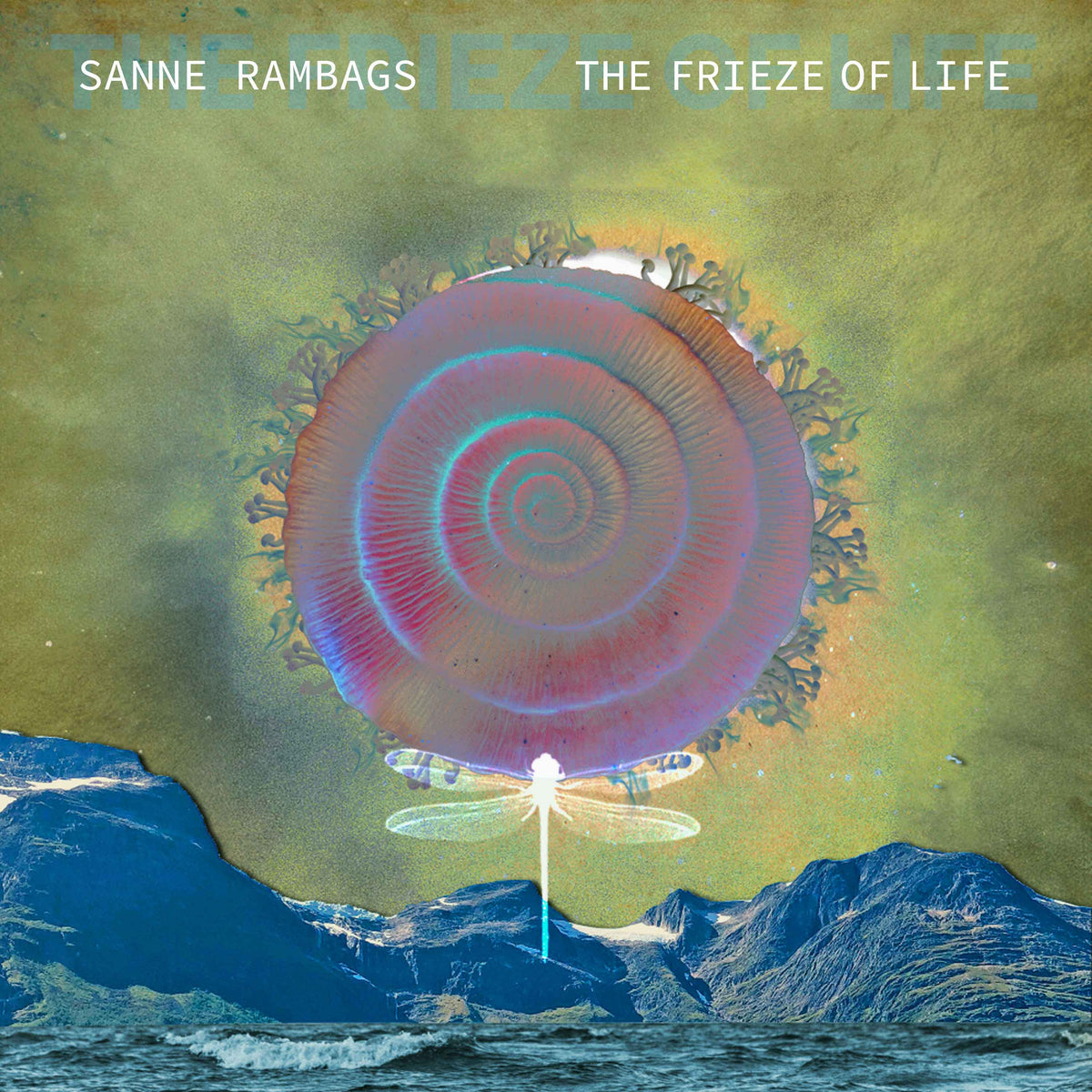 Sanne Rambags - The Frieze of Life | High Resolution Audio Downloads at ...